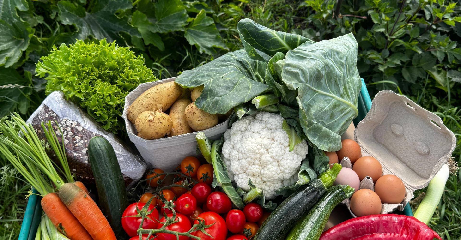 Bare Acre Produce Boxes