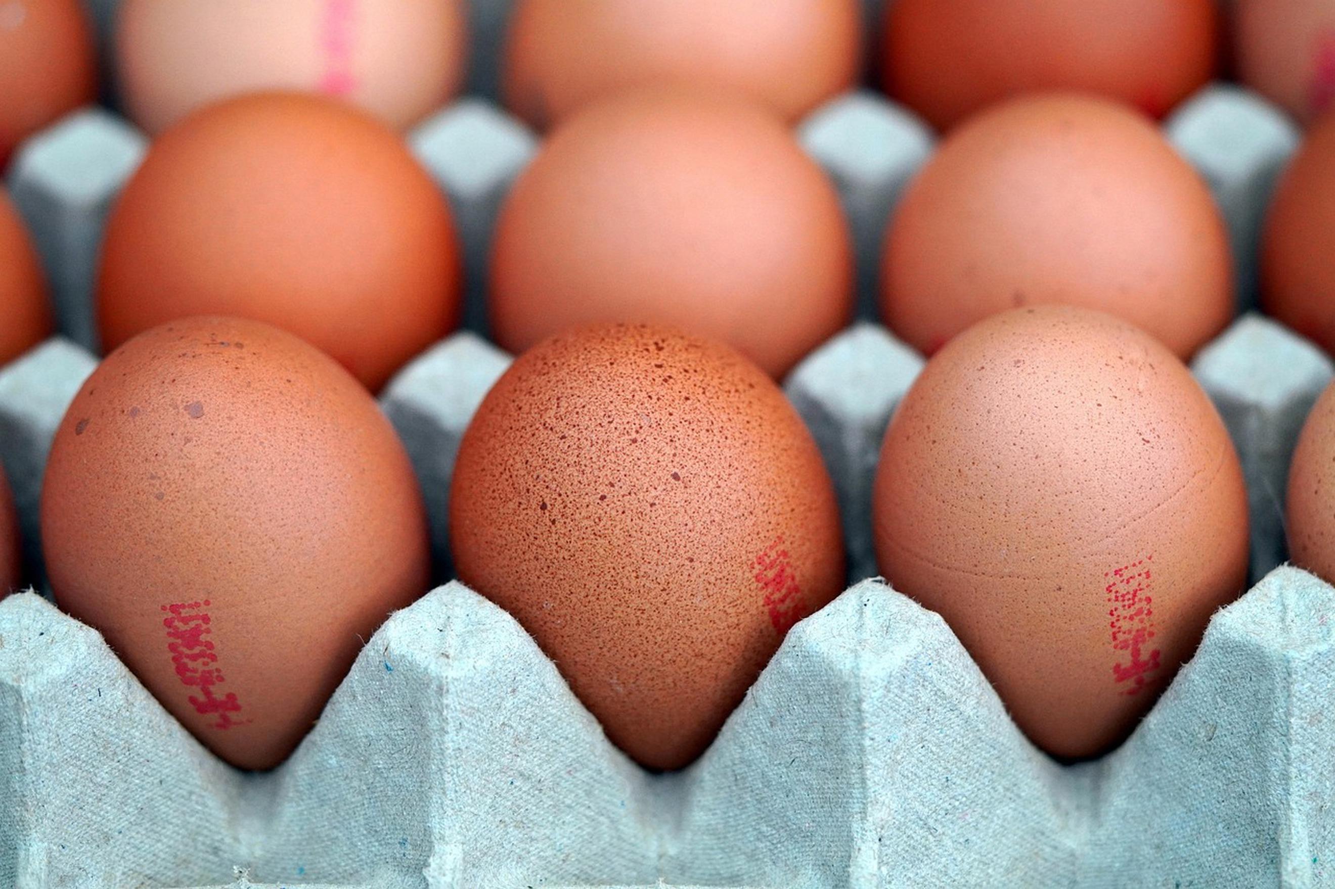 6 Eggs