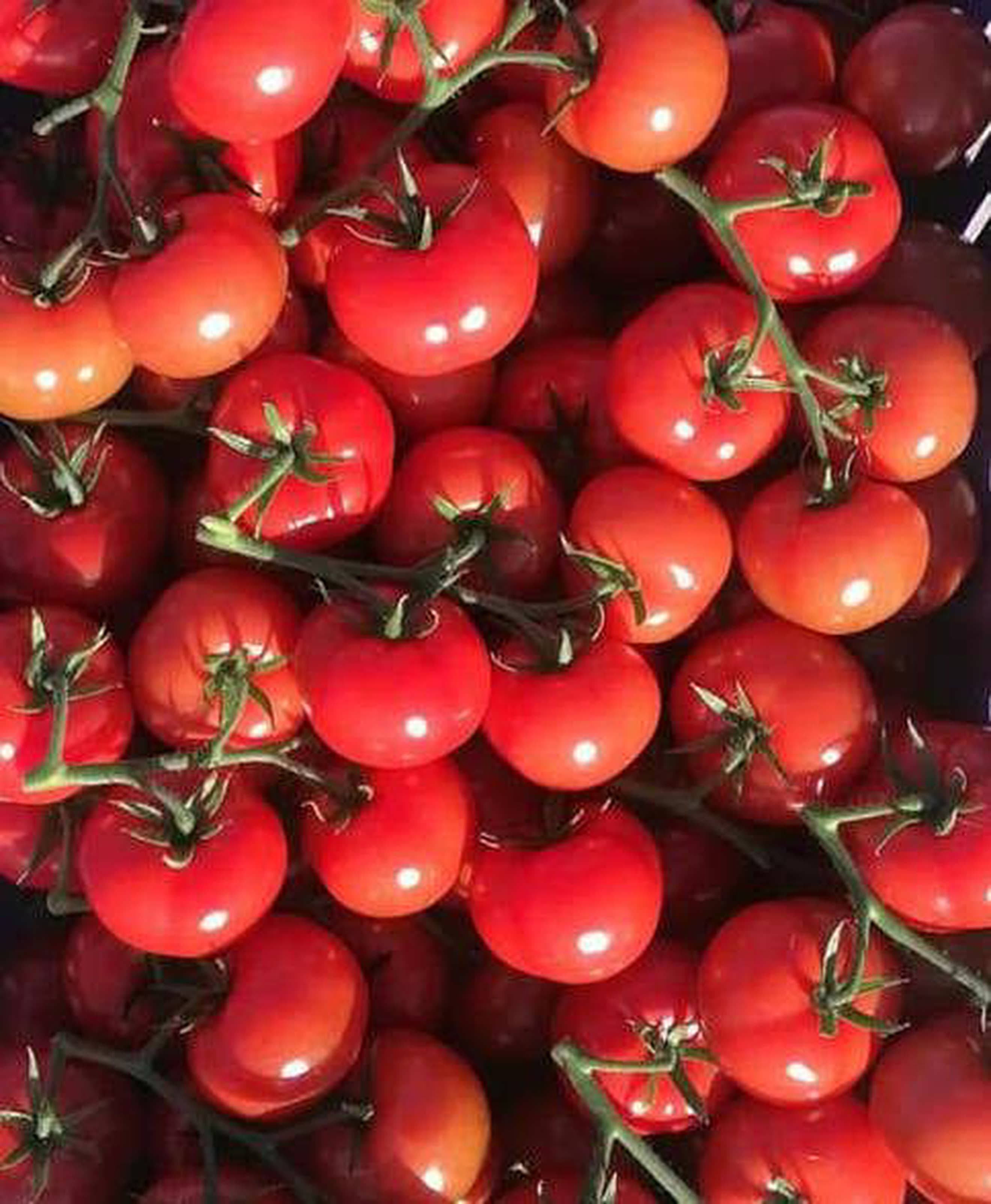Kilbush Vine Tomatoes 0.5kgs