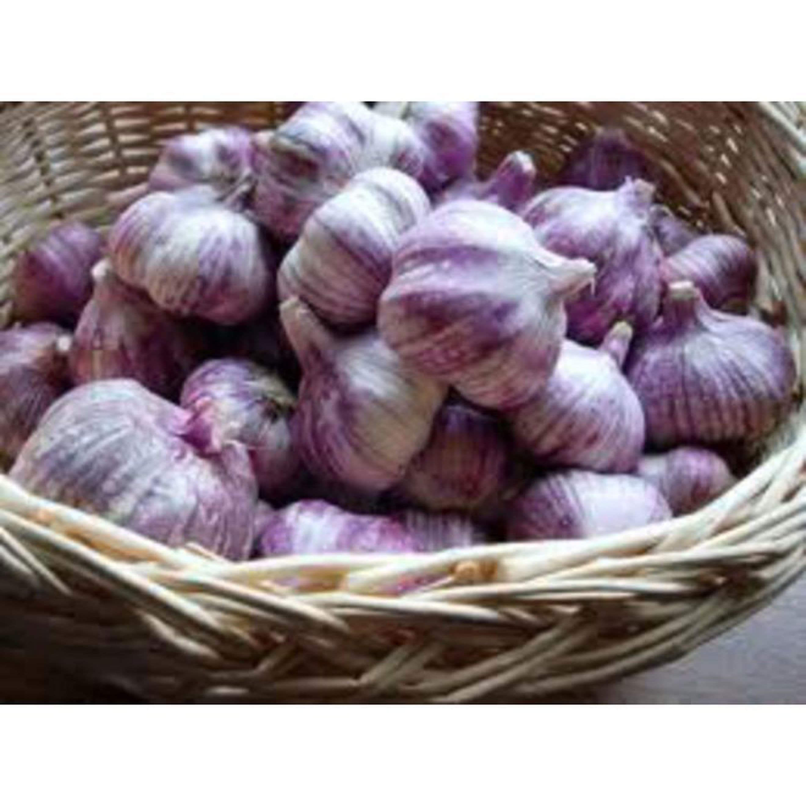 Bare Acre Garlic