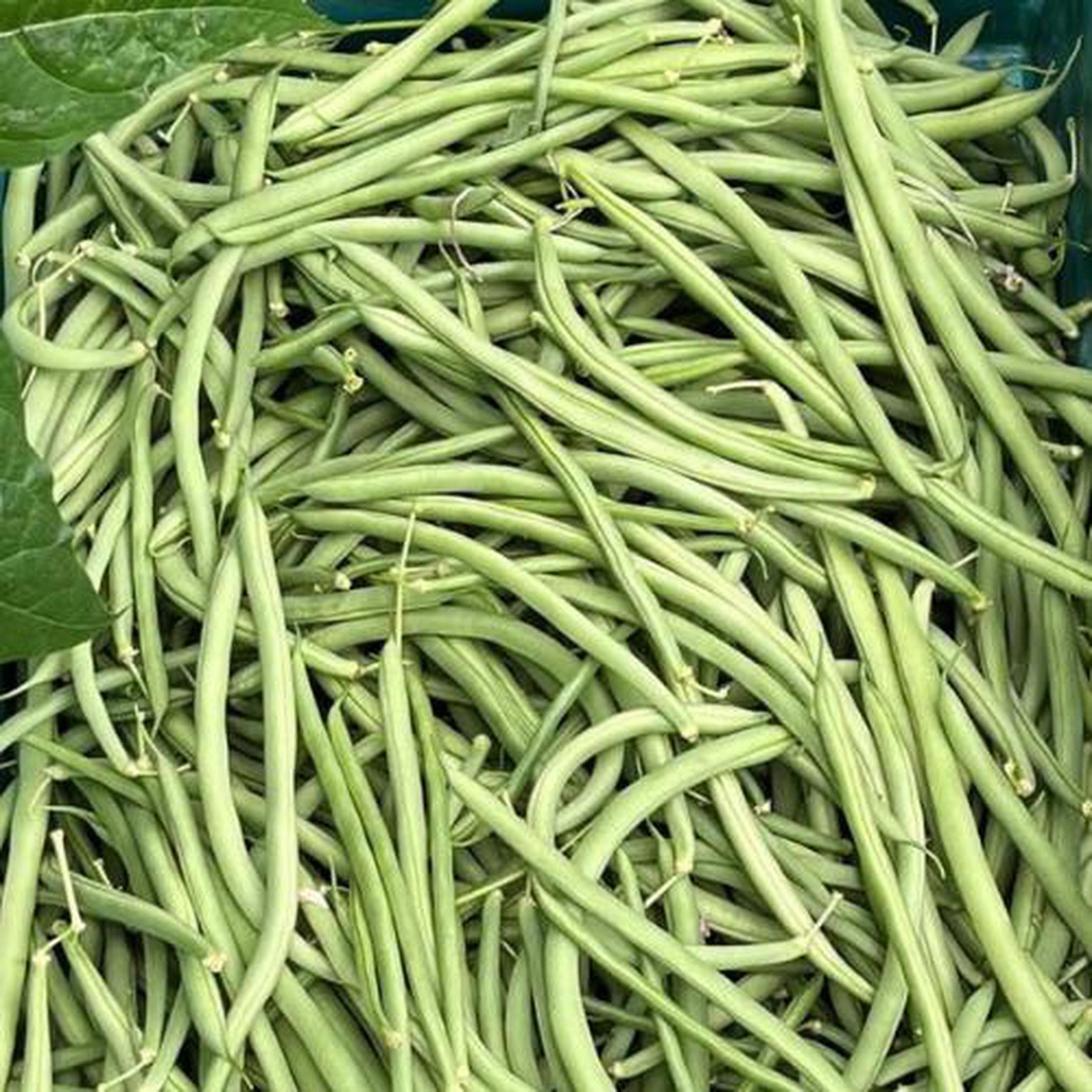 Bare Acre French Beans