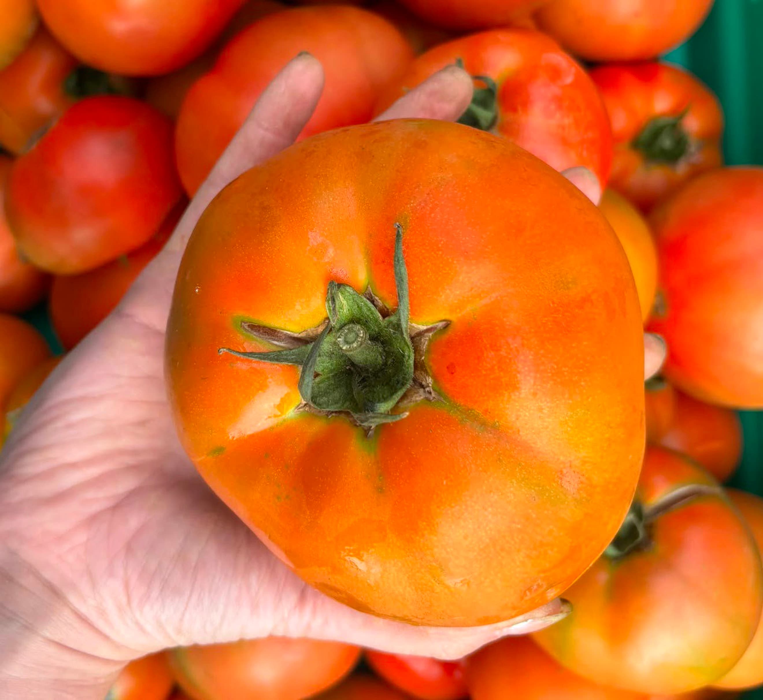 Bare Acre Beefsteaks
